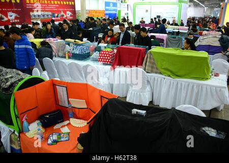 Shenyang, Shenyang, China. 22. Oktober 2016. Eine Katze Festzug ist in Shenyang, Hauptstadt des nordöstlichen Chinas Liaoning Provinz, 22. Oktober 2016 statt. Mehr als 100 Katzen nahmen an einer Katze-Festzug in Shenyang, Liaoning. © SIPA Asien/ZUMA Draht/Alamy Live-Nachrichten Stockfoto