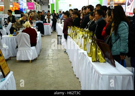 Shenyang, Shenyang, China. 22. Oktober 2016. Eine Katze Festzug ist in Shenyang, Hauptstadt des nordöstlichen Chinas Liaoning Provinz, 22. Oktober 2016 statt. Mehr als 100 Katzen nahmen an einer Katze-Festzug in Shenyang, Liaoning. © SIPA Asien/ZUMA Draht/Alamy Live-Nachrichten Stockfoto