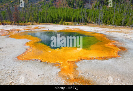 Bunte heißes Wasser Pool im Yellowstone Nationalpark, USA Stockfoto