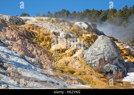 Mammoth hot springs im Yellowstone-Nationalpark, Wyoming, USA Stockfoto