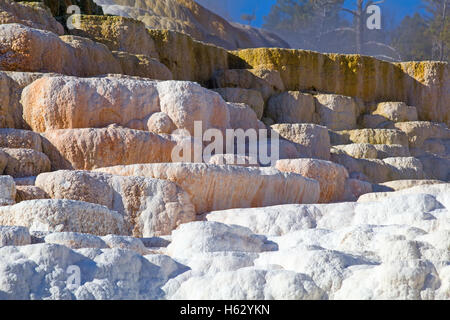 Mammoth hot springs im Yellowstone-Nationalpark, Wyoming, USA Stockfoto