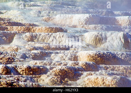 Mammoth hot springs im Yellowstone-Nationalpark, Wyoming, USA Stockfoto