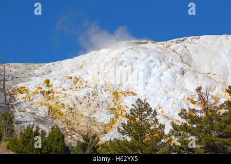 Mammoth hot springs im Yellowstone-Nationalpark, Wyoming, USA Stockfoto