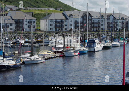 Blick auf die Boote im Hafen von Aberystwyth / Marina zugewandten Y Lanfa, Trefechen. Stockfoto