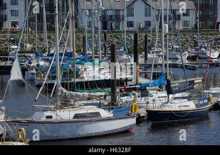 Blick auf die Boote im Hafen von Aberystwyth / Marina zugewandten Y Lanfa, Trefechen. Stockfoto