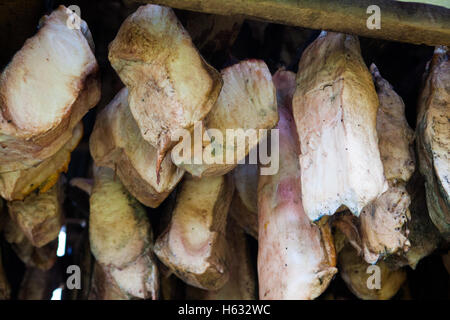 Hákarl, faulen Haifischfleisch, Island Stockfoto