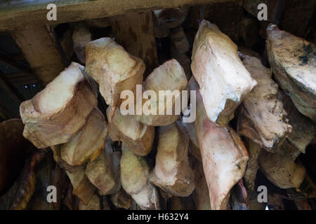 Hákarl, faulen Haifischfleisch, Island Stockfoto