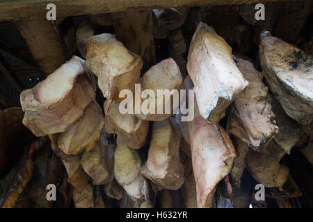 Hákarl, faulen Haifischfleisch, Island Stockfoto