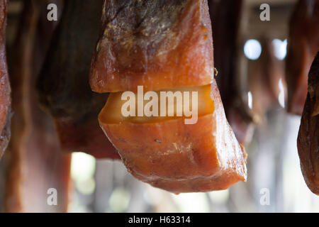 Hákarl, faulen Haifischfleisch, Island Stockfoto