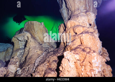 Tauchen, Cenote-Tauchen, Unterwasserhöhle, Höhlentauchen, Höhlentauchen, Cenote Tulum, Mexiko-Tauchen, Unterwasserforschung, Abenteuertauchen, Tauchen Mexiko, Stockfoto