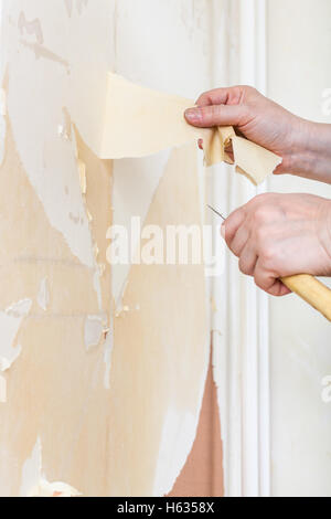 Renovierung der Wohnung, tapezieren: Reinigung der Wände. Entfernen der Tapete von der Wand sichern. Stockfoto