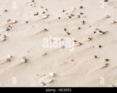 Der dänischen Westküste ist geprägt von Meile langen Stränden mit feinem weißen Sand, Kiesel und Mustern hergestellt aus wind Stockfoto