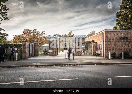 Der Eingang zur Dulwich Picture Gallery in Dulwich Village, Southwark, London, England, Großbritannien Stockfoto