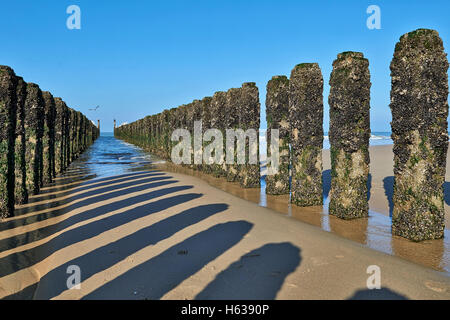 Zwischen den beiden Reihen der Pole des Wellenbrechers gegen blauen Himmel Stockfoto