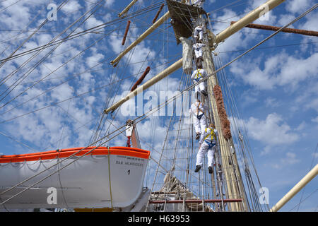 Segler bereiten ihr Segelboot für Start der Abreise während der letzte Tag des hohen Schiffe Rennen 2016 am 10. Juli 2016 in Antwerpen, Bel Stockfoto