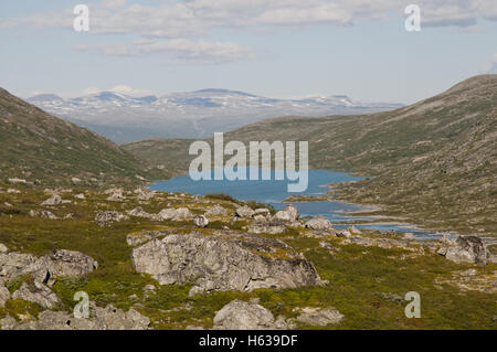 Blick vom Strynefjellet in Richtung Dovrefjell im Osten, Norwegen Stockfoto