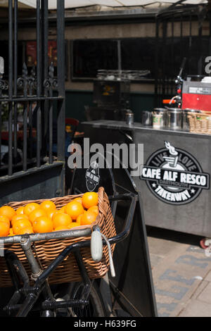 Orangen in alten Fahrrad Korb - Anzeige außerhalb Restaurant in Dartmouth Devon Stockfoto