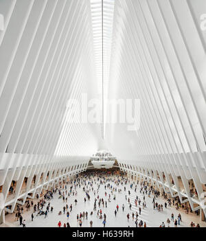 Kathedralenartigen Transit Halle innen von der Aussichtsplattform auf Straßenniveau. Das Oculus, World Trade Center Transportation Hub, New York, Vereinigte Staaten. Architekt: Santiago Calatrava, 2016. Stockfoto