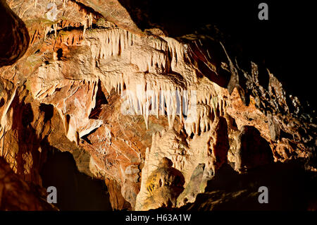 Kent's Cavern, Torquay Devon geopark Stockfoto