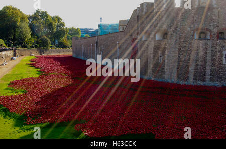 Sonne-Flare am Tower of london Stockfoto