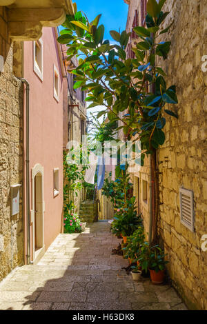 Eine Gasse in der alten Stadt Korcula in Dalmatien, Kroatien Stockfoto