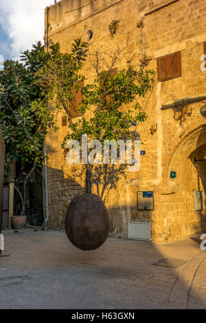 Abgehängte Jaffa Orange Tree in Old Jaffa Stockfoto