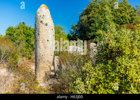 Verlassene und vergessene prähistorische Stätte in den Hügeln von Corsica - 7 Stockfoto