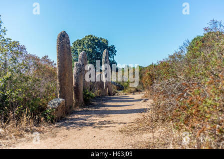 Verlassene und vergessene prähistorische Stätte in den Hügeln von Corsica - 8 Stockfoto