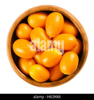Frische Kumquats in einer Holzschale auf weißem Hintergrund, auch genannt Kumquats und Nagami Kumquat. Essbare kleine ovale orange Früchte. Stockfoto