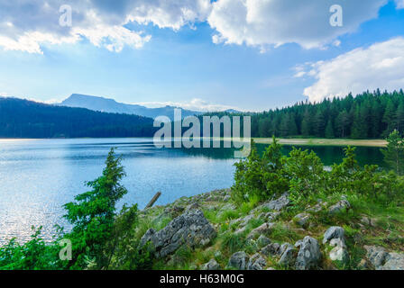 Der Schwarze See (Crno Jezero) im Durmitor National Park, Montenegro Stockfoto