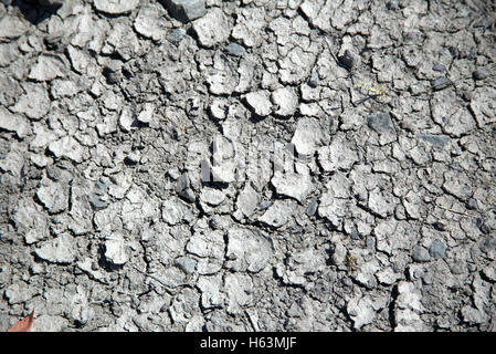 Muster der Schlamm am Boden geknackt Stockfoto