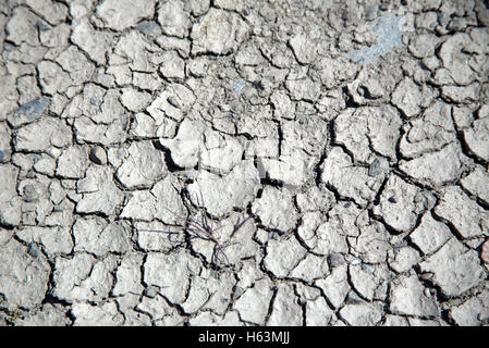 Muster der Schlamm am Boden geknackt Stockfoto
