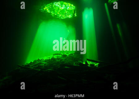 Licht, das von der Eingang von Calavera Höhle bildet eine Kuppel, Tulum Cenote Halbinsel Yucatan, Mexiko Stockfoto