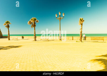 Palmen entlang der Küste in Cadiz in schöner sonniger Tag. Stockfoto