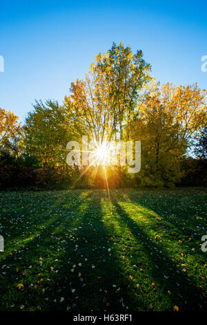 Spektakulären Herbst Sonnenuntergang hinter bunten Bäumen Stockfoto