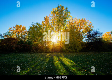 Spektakulären Herbst Sonnenuntergang hinter bunten Bäumen Stockfoto