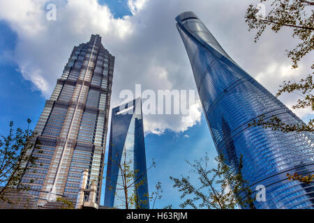 Drei Wolkenkratzer Bäume Reflexionen Liujiashui Financial District Shanghai China.  Shanghai Tower Stockfoto