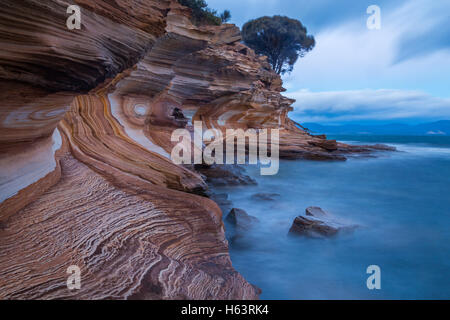 Erodierten Schichten von Eisenoxid Form interessante Muster auf der Painted Cliffs auf Maria Island National Park, Tasmanien Stockfoto