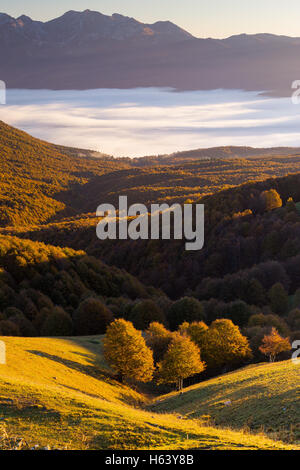 Blick vom Pizzoc Berg. Das Canisglio Plateau mit dem Buchenwald. Sonnenaufgang Sonnenlicht mit Flut von Wolken über der Ebene. Herbstsaison. Italien. Stockfoto