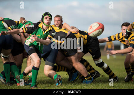 North Dorset RFC 2. XV Vs Bournemouth III XV - Dorset, England. NDRFC scrum-Hälfte in Aktion. Stockfoto