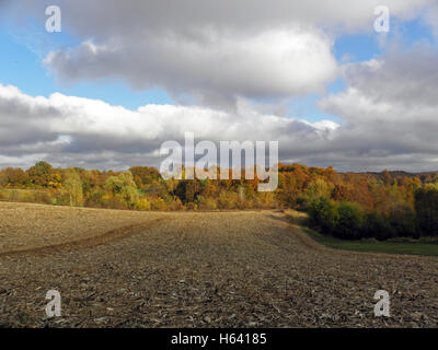 Bunter Herbst im Land, Kroatien, Europa, 3 Stockfoto