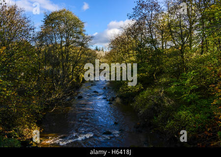 Der Fluss Mandel in Livingston, West Lothian, im Herbst Stockfoto