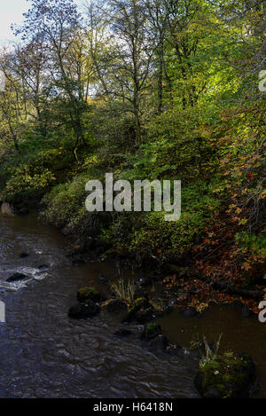 Der Fluss Mandel in Livingston, West Lothian, im Herbst Stockfoto