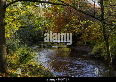 Der Fluss Mandel in Livingston, West Lothian, im Herbst Stockfoto