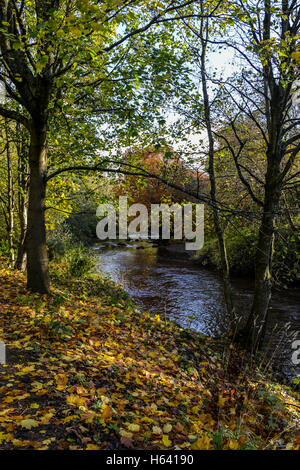 Der Fluss Mandel in Livingston, West Lothian, im Herbst Stockfoto