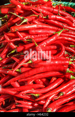 Rote Paprika in einem Markt. Stockfoto