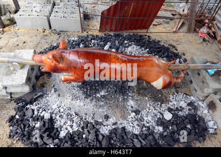 Braten ein ganzes Schwein - Lechon Baboy in der Insel Mindoro, Philippinen. Stockfoto