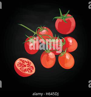 Tomaten-Vektor-Illustration-set Stock Vektor