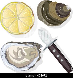 Ausgelöster Austern mit Zitrone auf Whight Hintergrund Stock Vektor