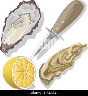 Ausgelöster Austern mit Zitrone auf Whight Hintergrund Stock Vektor
